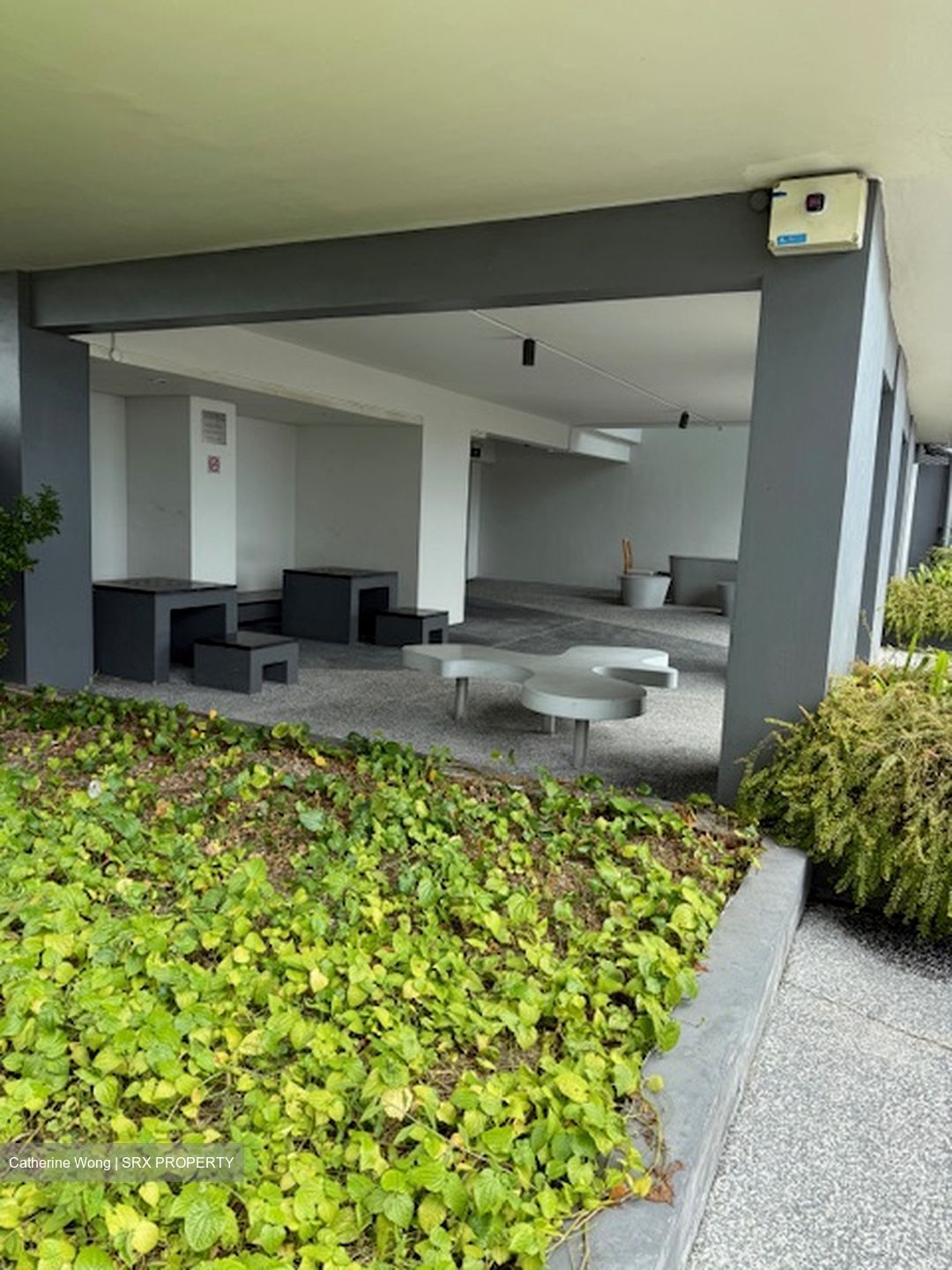 Dawson Road (Queenstown),  #555686351